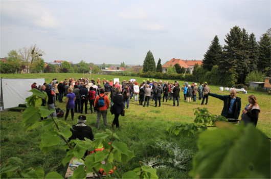 Wohin jetzt am Schulstandort / Lessingymnasium