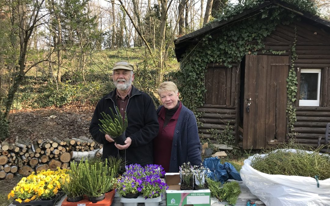 Hoffnungszeichen – Osterbrunnen am Kamenzer Markt auch in diesem Jahr wieder geschmückt